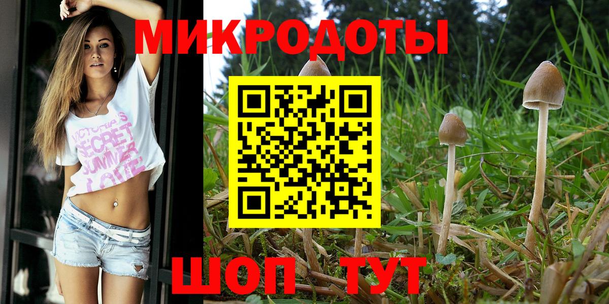Галлюциногенные грибы ЛСД Астрахань