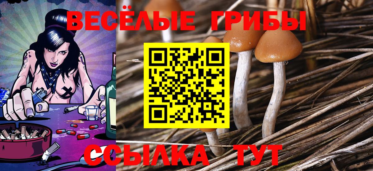 Галлюциногенные грибы Psilocybine cubensis  Вход с VPN  Псилоцибиновые грибы Cubensis  Астрахань 